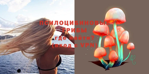 индика Белоозёрский