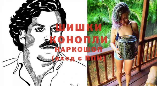 индика Белоозёрский