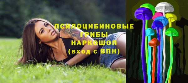 индика Белоозёрский
