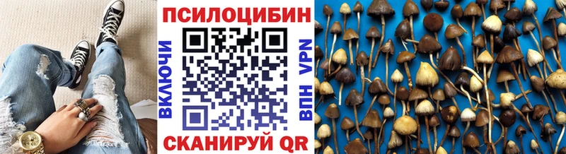 купить  сайты  Мамадыш  Галлюциногенные грибы GOLDEN TEACHER 